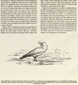 August Gaul. Tailpiece (folio 56 verso) from the periodical Der Bildermann, supplement to vol. 1, no. 17 (Dec 1916). 1916