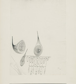 Paul Klee. Three Fruit (Drei Früchte). 1927