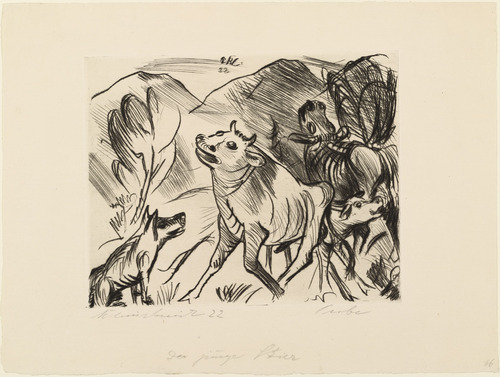 Paul Kleinschmidt. The Young Bull (Der junge Stier). 1922