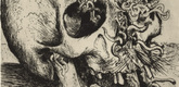 Otto Dix. Skull (Schädel)  from The War (Der Krieg). (1924)