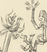 Paul Klee. Giant Aphid (Riesenblattlaus) for the illustrated book Deutsche Graphiker der Gegenwart. 1920