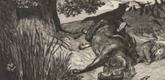 Max Klinger. Fallen Rider (Gefallener Reiter) (plate XI) from Intermezzos, Opus IV (Intermezzi, Opus IV). (first published 1881)