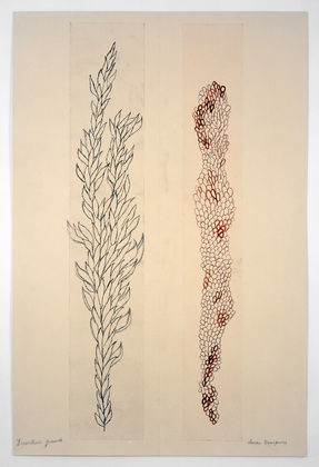 Louise Bourgeois. Eccentric Growth IV. 2006