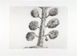 Louise Bourgeois. Untitled, plate 1 of 9, from the portfolio, Topiary: The Art of Improving Nature. 1998