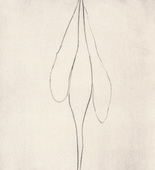 Louise Bourgeois. Untitled, plate 5 of 15, from the series, Nature Study. 2009