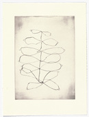 Louise Bourgeois. Untitled, plate 14 of 15, from the series, Nature Study. 2009