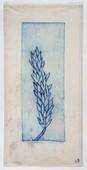 Louise Bourgeois. Untitled (Branch with Tall Leaf Cluster), in Les Arbres (3), from the editioned series of portfolios, Les Arbres (1-6). 2004