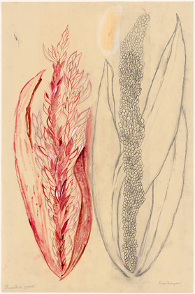 Louise Bourgeois. Eccentric Growth I. 2006