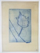 Louise Bourgeois. Untitled (Branch with One Leaf), in Les Arbres (6), from the editioned series of portfolios, Les Arbres (1-6). 2004