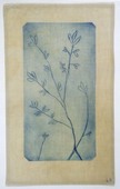 Louise Bourgeois. Untitled (Three Branches with Offshoots), in Les Arbres (6), from the editioned series of portfolios, Les Arbres (1-6). 2004