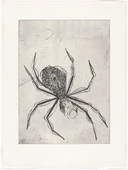 Louise Bourgeois. Spider. 1995
