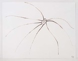 Louise Bourgeois. Spider. 2007