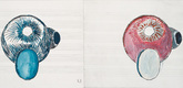 Louise Bourgeois. Untitled, no. 9, in Nothing to Remember (set 1), from the series of folio sets (1-6). 2004-2006