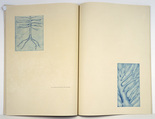 Louise Bourgeois. Spring and The Underground Life of Fear, plates 12 and 13 of 18 (diptych), from the illustrated book, One's Sleep (3). 2003