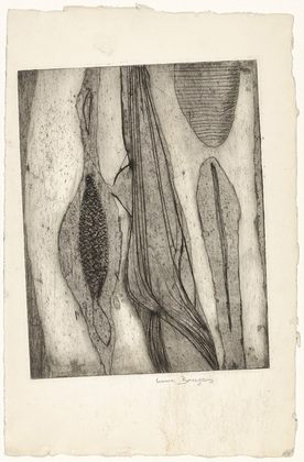 Louise Bourgeois. Les Mollusques. c. 1948
