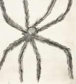 Louise Bourgeois. Hairy Spider. 2001
