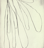 Louise Bourgeois. Untitled, plate 15 of 15, from the series, Nature Study. 2009
