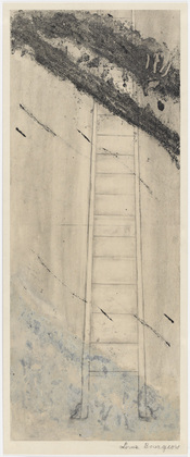 Louise Bourgeois. The Ladder of Success. 2002