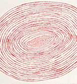 Louise Bourgeois. Les Concentriques et Les Spirales? 2000