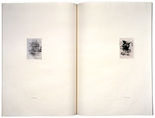Louise Bourgeois. The Blue Fear and The Pink Fear, plates 1 and 2 of 18 (diptych), from the illustrated book, One's Sleep (1). 2003