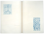 Louise Bourgeois. Spring and The Underground Life of Fear, plates 12 and 13 of 18 (diptych), from the illustrated book, One's Sleep (1). 2003