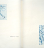 Louise Bourgeois. Spring and The Underground Life of Fear, plates 12 and 13 of 18 (diptych), from the illustrated book, One's Sleep (1). 2003