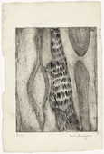 Louise Bourgeois. Les Mollusques. c. 1948