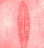 Louise Bourgeois. Feather Thoughts. 2006