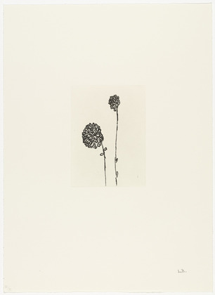Louise Bourgeois. Untitled, plate 2 of 10, from the portfolio, Homely Girl, A Life. 1992