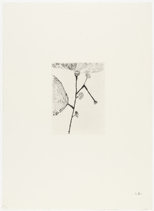 Louise Bourgeois. Untitled, plate 7 of 10, from the portfolio, Homely Girl, A Life. 1992