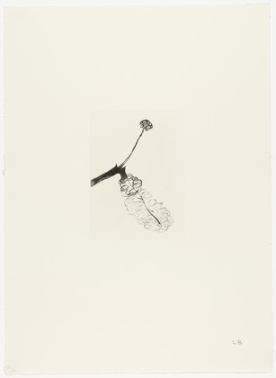 Louise Bourgeois. Untitled, plate 8 of 10, from the portfolio, Homely Girl, A Life. 1992