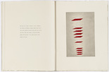 Louise Bourgeois. Untitled, plate 3 of 8, from the illustrated book, the puritan. 1990