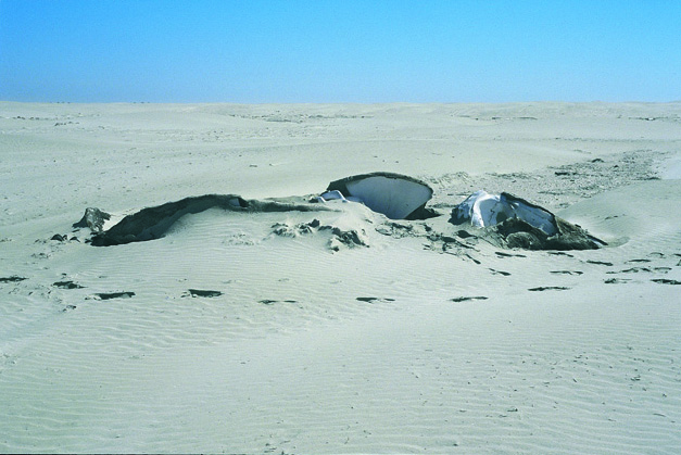 Gabriel Orozco. Whale in the Sand. 2006. Chromogenic color print, 16 x 20” (40.6 x 50.8 cm). Courtesy the artist and Marian Goodman Gallery, New York