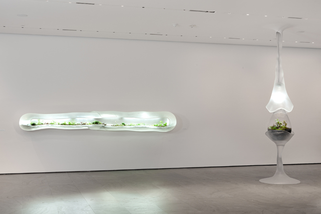 Paula Hayes. Installation view of Nocturne of the Limax maximus (Slug at left. Egg at right) at The Museum of Modern Art. 2010. Installation: cast acrylic, hand-blown glass, cnc-milled topographical wall and ceiling attachment, full-spectrum lighting, and tropical planting. Commissioned by The Museum of Modern Art, New York. Courtesy of the Artist and Marianne Boesky Gallery. © Paula Hayes. Photo: Jason Mandella