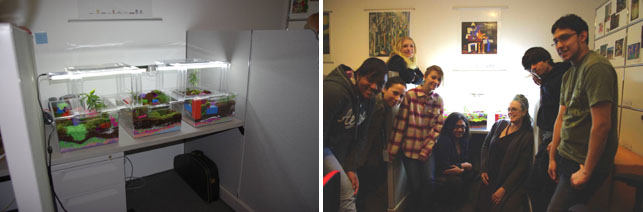 From left: The work, with grow lights turned on, in its temporary home within the Education Department offices; Art and Science Teens and Paula pose in front of their "finished" product