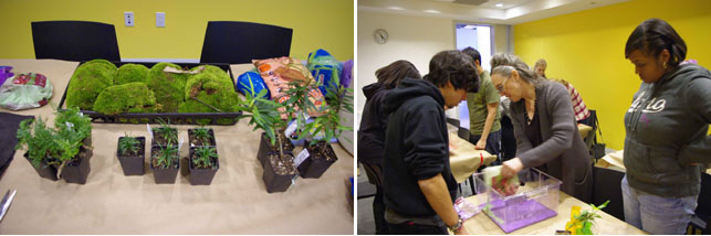 From left: raw materials we worked with; Paula assists with putting down the first layer of sand
