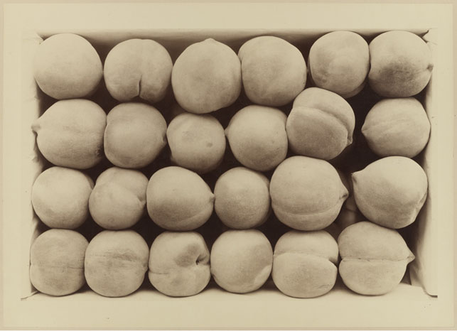 Carleton E. Watkins. Late George Cling Peaches. 1889. Albumen silver print. The Museum of Modern Art. Acquired through the generosity of Jon L. Stryker