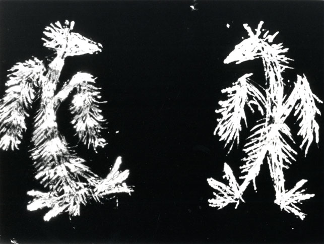 animation film Blinkity Blank 1955 Canada Directed by Norman McLaren