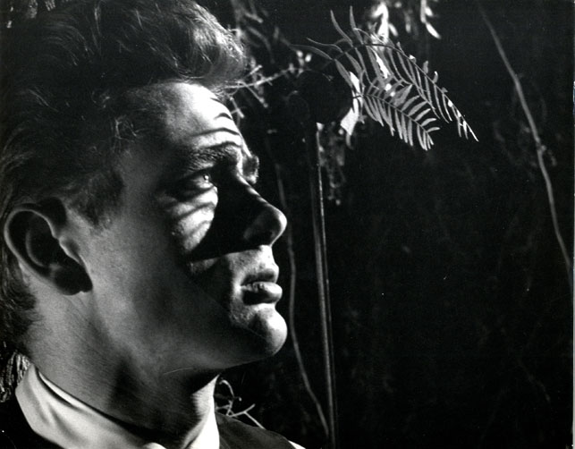 James Dean East of Eden. 1955. USA. Directed by Elia Kazan