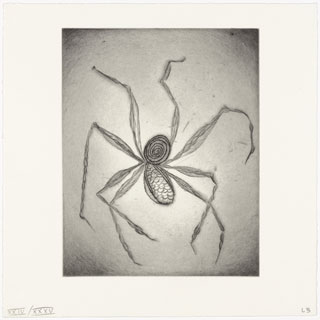 Untitled, plate 8, from the illustrated book, Ode à ma mère, 1995. Drypoint. Plate: 9 3/8 x 7 7/16” (23.8 x 18.9 cm). © 2013 Louise Bourgeois Trust Untitled, plate 8, from the illustrated book, Ode à ma mère, 1995. Drypoint. Plate: 9 3/8 x 7 7/16” (23.8 x 18.9 cm). © 2013 Louise Bourgeois Trust.