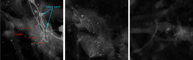 X-radiographs depicting three sites of overpaint on One. In each case, cracks [seen as thin, dark lines] are clearly visible, and areas of dense paint beneath appear as lighter forms