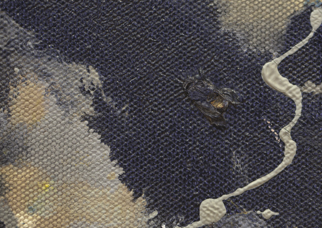 A housefly met his end in a pour of black paint