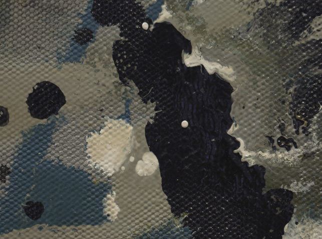 Typical wet-into-wet paint mixing. Notice how the edges of the colors flow into each other