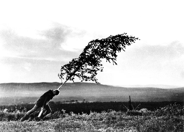 Denkverbot - Page 6 Ingmar_Bergman_Virgin_Spring