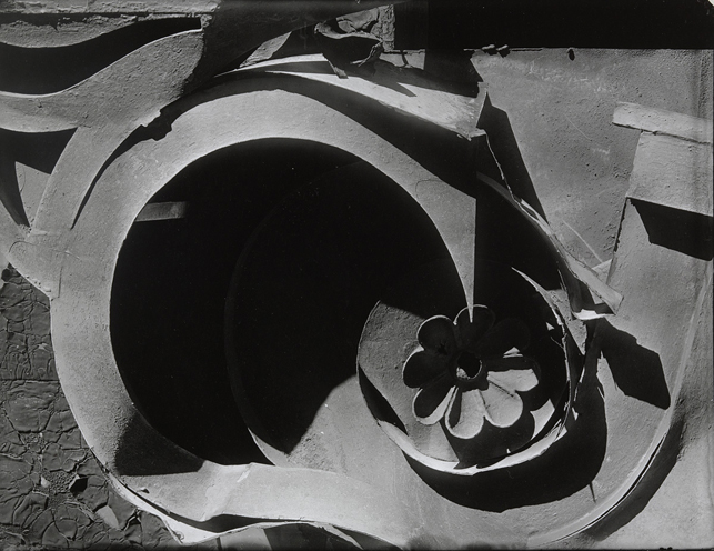 Walker Evans. Tin Relic. 1930. Gelatin silver print. 5 7/8 x 7 1/16" (15 x 18 cm). Purchase. © 2013 Walker Evans Archive, Metropolitan Museum of Art