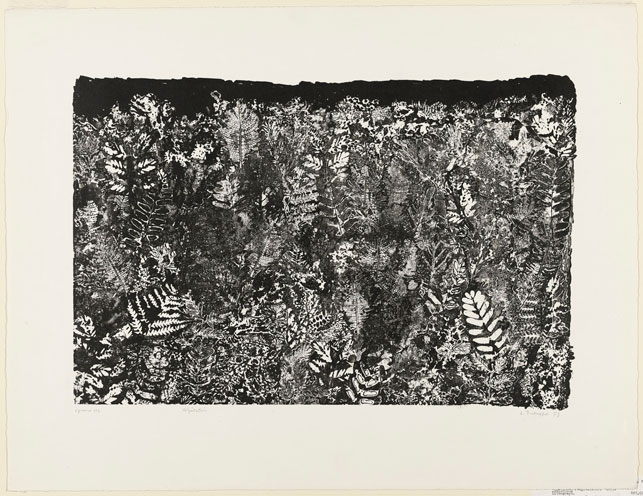 Jean Dubuffet. Vegetation (Végétation). 1953. Lithograph, sheet: 19 13/16 x 25 3/4" (50.3 x 65.4 cm). The Museum of Modern Art, New York. Gift of Mr. and Mrs. Ralph F. Colin, 1965. Photograph by John Wronn. © 2015 Artists Rights Society (ARS), New York/ADAGP, Paris