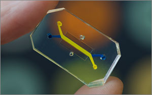 Donald Elliot Ingber, Dan Dongeun Huh. Wyss Institute for Biologically Inspired Engineering at Harvard University, Boston Children’s Hospital. Human Organs-on-Chips (Lung-on-Chip). 2008. Silicone rubber. The Museum of Modern Art, New York. Gift of the designers, 2015