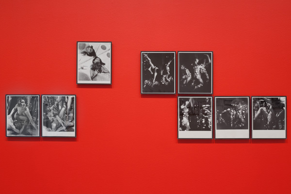 Installation view of Art on Camera: Photographs by Shunk-Kender, 1960–1971,  The Museum of Modern Art, New York. Photo: John Wronn