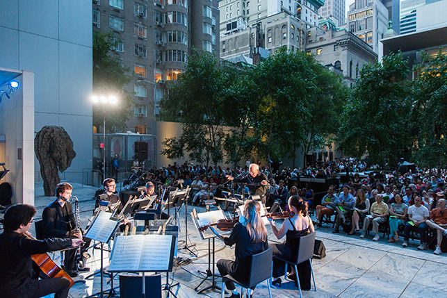Summer garden, July 5, 2015. Photo: Scott Rudd